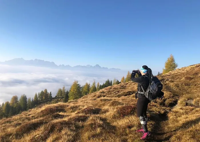 Dom wakacyjny Moelltal